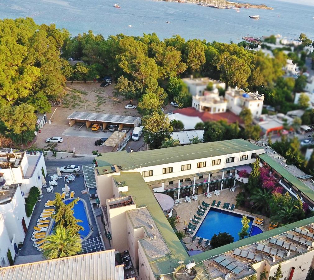 Sky Star Hotel Gümbet Buitenkant foto